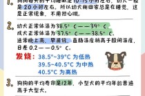 宠物基本常识，宠物相关知识