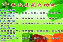 蔬菜常识大全（50种蔬菜常识大全）