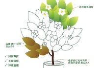 植物养护常识 - 植物养护常识有哪些内容