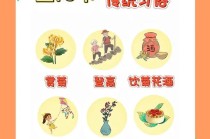 重阳节的常识（重阳节常识题）