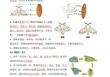 动物科学常识，动物类科普知识