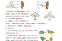 动物科学常识，动物类科普知识