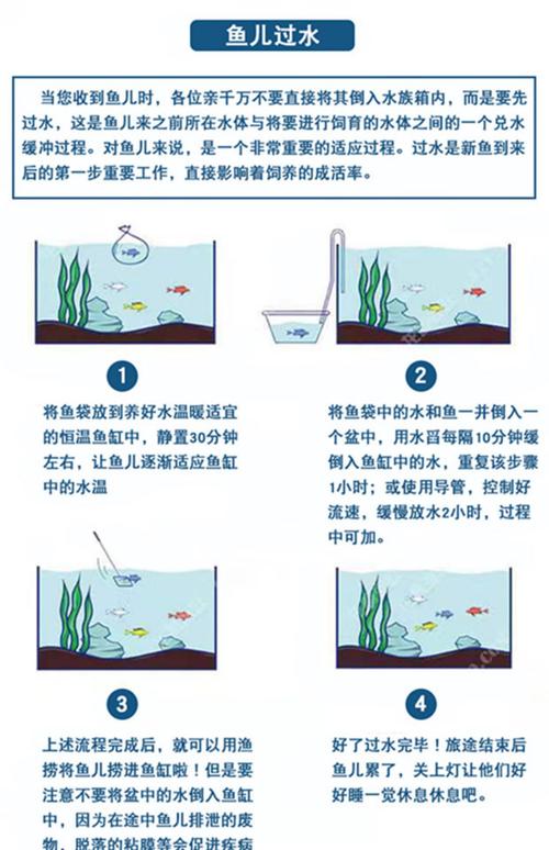 养小鱼的基本常识，养小鱼需要准备哪些条件  第3张