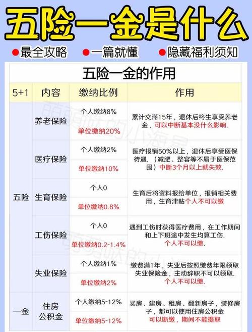 社保医保常识 - 社保医疗保险缴费规则  第7张