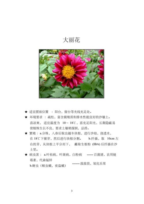 关于花的小常识 - 关于花的小常识有哪些  第8张