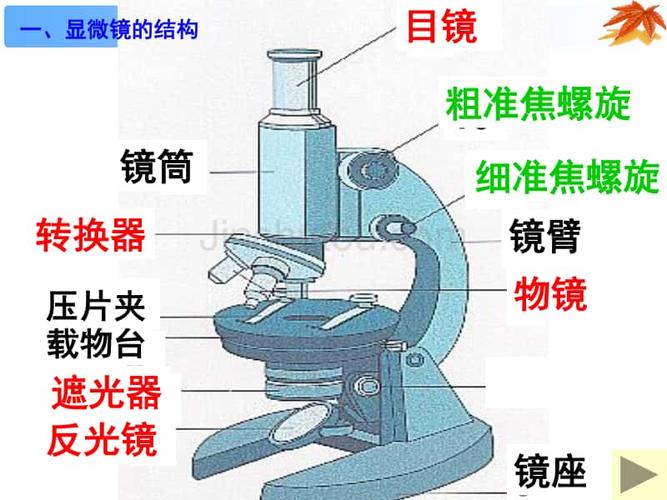 显微镜使用常识，显微镜使用常识有哪些  第1张