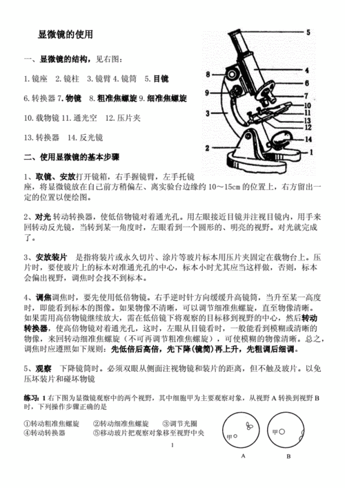 显微镜使用常识，显微镜使用常识有哪些  第2张