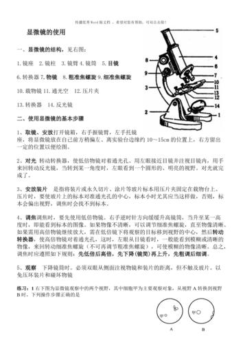 显微镜使用常识，显微镜使用常识有哪些  第5张