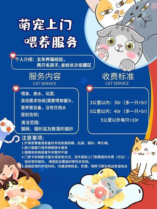 长沙猫咪怎么出行（长沙猫可以坐公交吗）  第7张