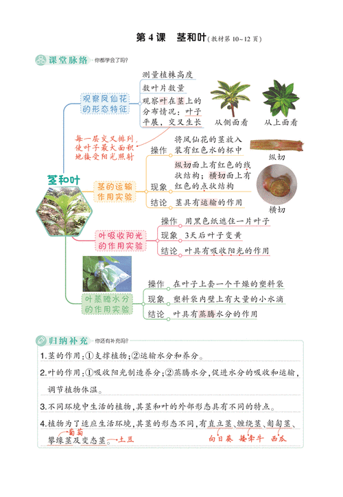 小学生自然科学小常识 - 小学生自然科学小常识100字  第4张