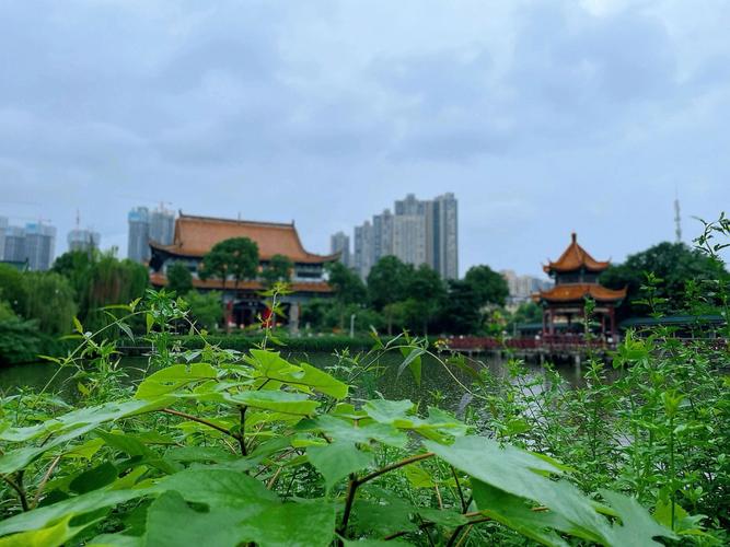 长沙下雨可以出行 - 长沙下雨了没  第1张