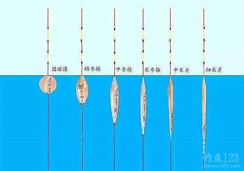 钓鱼常识钓鱼人必看，钓鱼入门基础知识  第4张