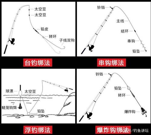 钓鱼常识钓鱼人必看，钓鱼入门基础知识  第7张