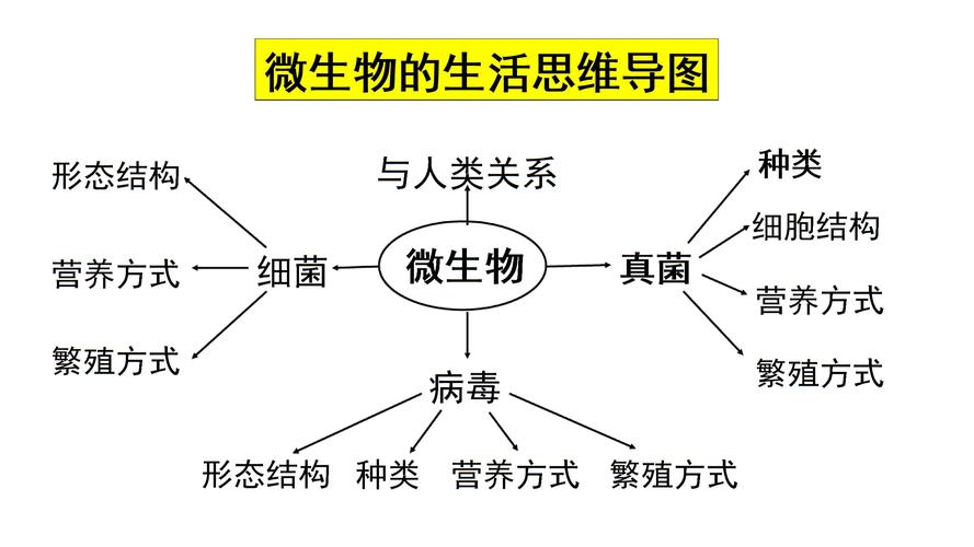 生活中的生物小常识，日常生活中的生物小知识  第5张