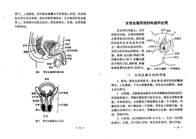 常识性的知识（常识性知识考核）  第5张