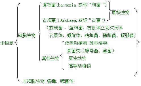 日常生活中的生物常识，生活生物常识大全集  第1张