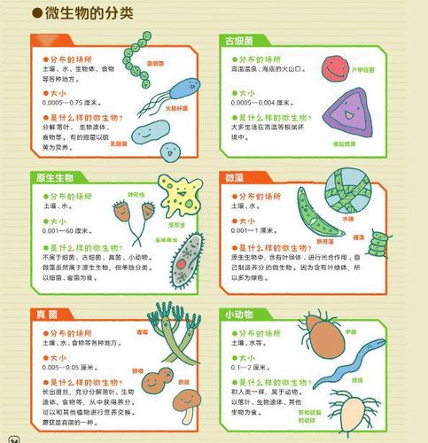 日常生活中的生物常识，生活生物常识大全集  第2张