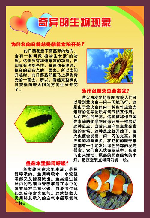 日常生活中的生物常识，生活生物常识大全集  第3张