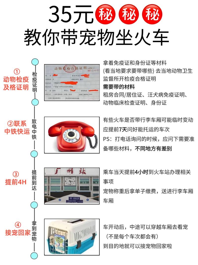 怎么携带宠物出行，怎样携带宠物  第5张