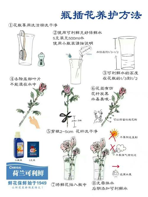 如何浇花常识（如何浇花常识图片）  第5张