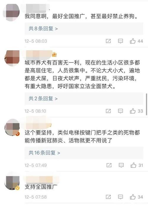 昭通限制狗狗出行，昭通禁狗  第6张