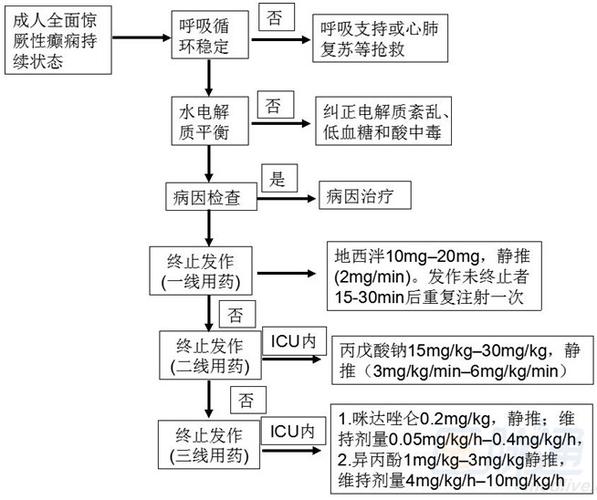 癫痫治疗的常识有哪些的简单介绍  第2张