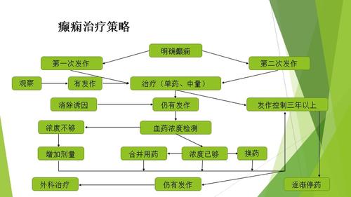 癫痫治疗的常识有哪些的简单介绍  第7张