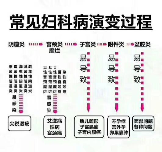 预防妇科病的小常识（预防妇科病的小常识有哪些）  第6张