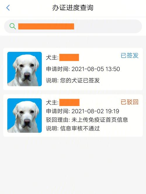 长春去哪里能办出行证（长春出行用什么app）  第1张