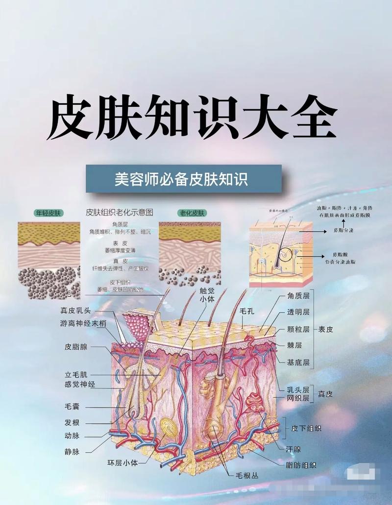 美容常识大全（美容知识讲解）  第5张