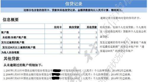 个人征信常识（个人征信都有什么内容怎么解读）  第5张