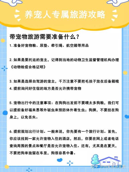 长途出行怎样带猫狗出行（长途如何带宠物）  第5张