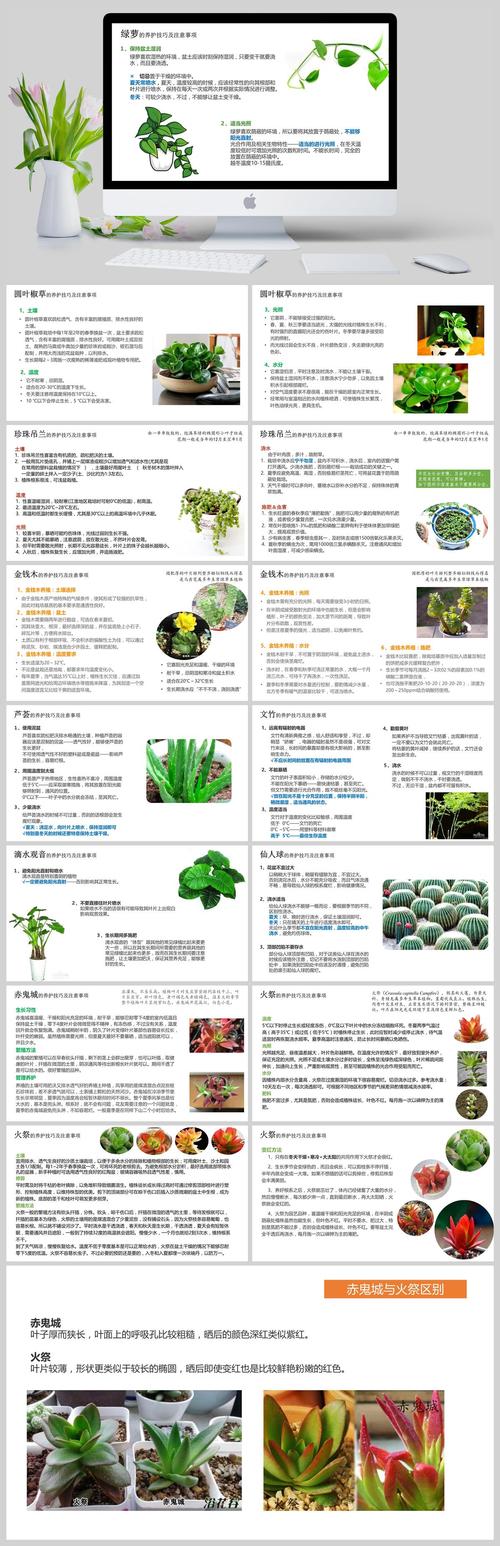 植物养护常识 - 植物养护常识有哪些内容  第4张