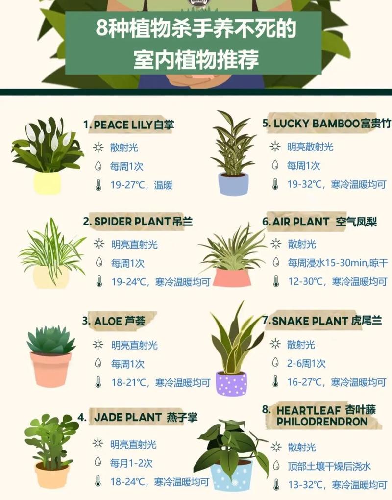 植物养护常识 - 植物养护常识有哪些内容  第5张