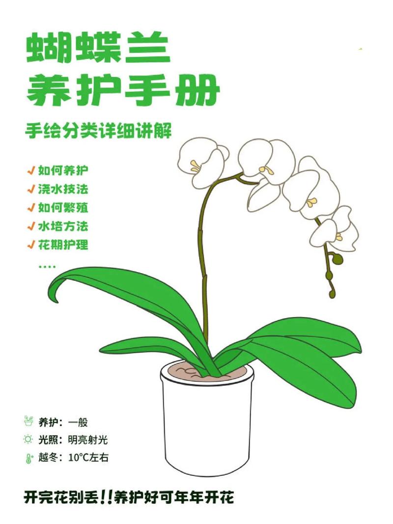 植物养护常识 - 植物养护常识有哪些内容  第7张