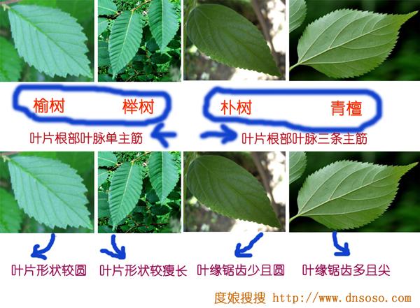 科学常识宝葫芦 - 科学常识宝葫芦小程序  第4张