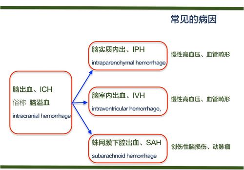 脑血管病防治常识（脑血管病防治常识内容）  第4张