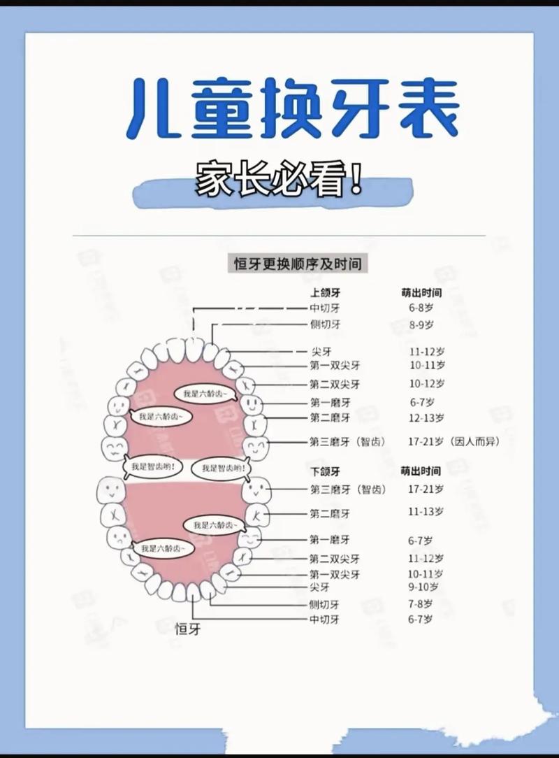 保护牙齿的十个小常识，保护牙齿的十个小常识画  第7张