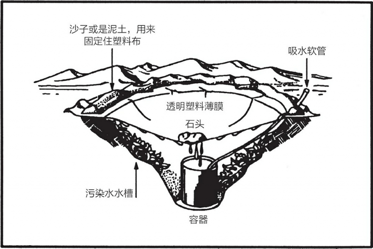 野外生存常识（野外生存常识编成的歌谣）  第5张