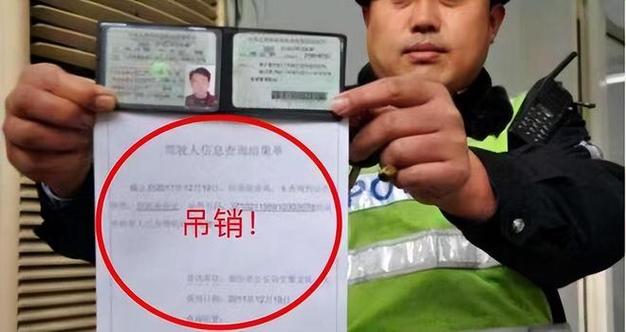 湛江绿色出行满意率低，湛江绿通共享单车  第6张