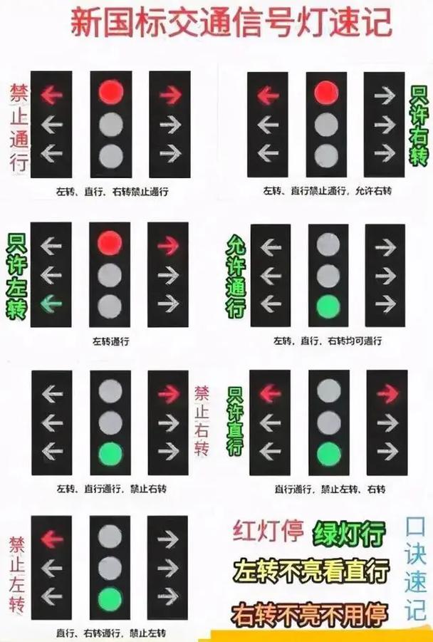 红绿灯安全常识，红绿灯安全内容  第5张