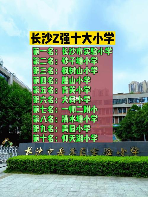 长沙春节小学出行，长沙小学生开学时间定了吗  第1张