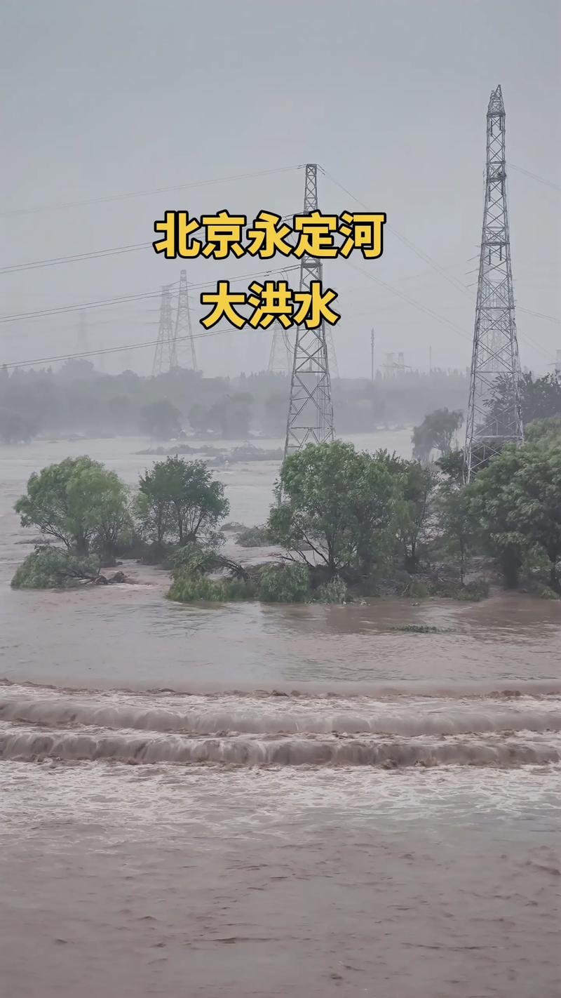 长安出行理赔费用 - 长安出行有没有保险  第6张