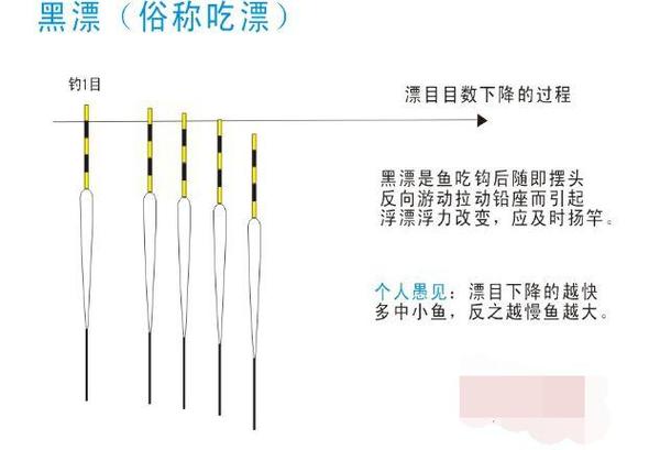 钓鱼常识大全 - 钓鱼知识普及  第5张