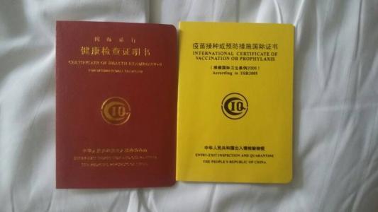 怎样查询出行健康证信息（怎样查询出行健康证信息呢）  第4张