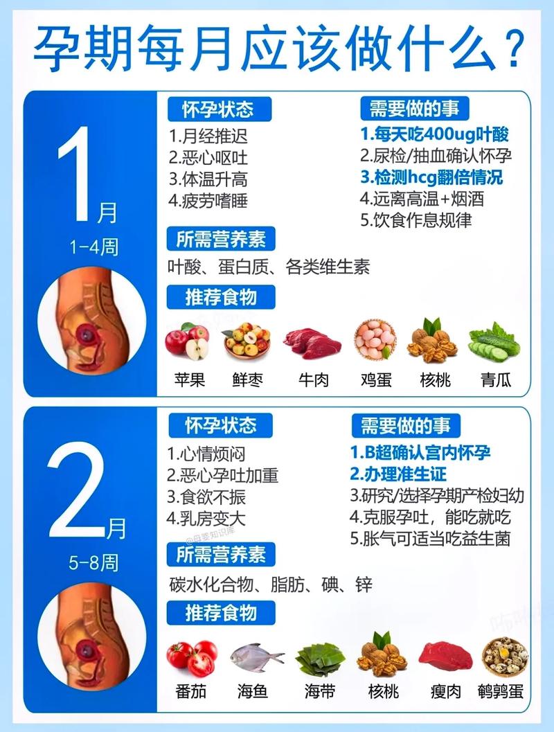 怀孕常识大全，怀孕必知的知识点  第1张