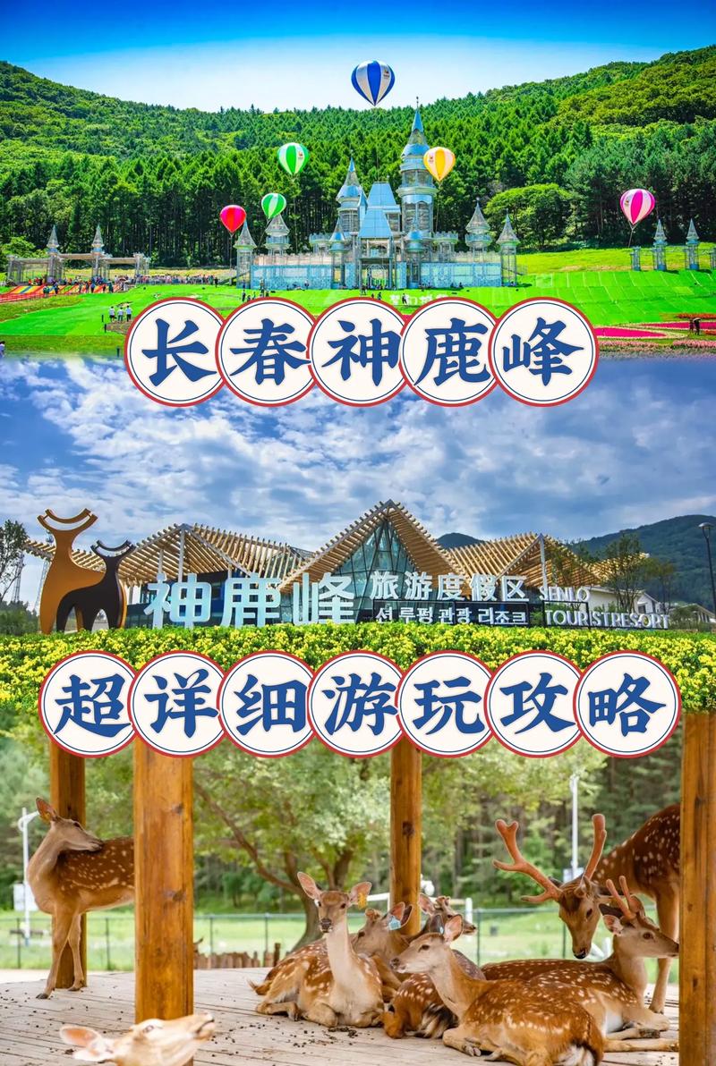 长春旅游出行计划（长春旅游防疫措施）  第6张