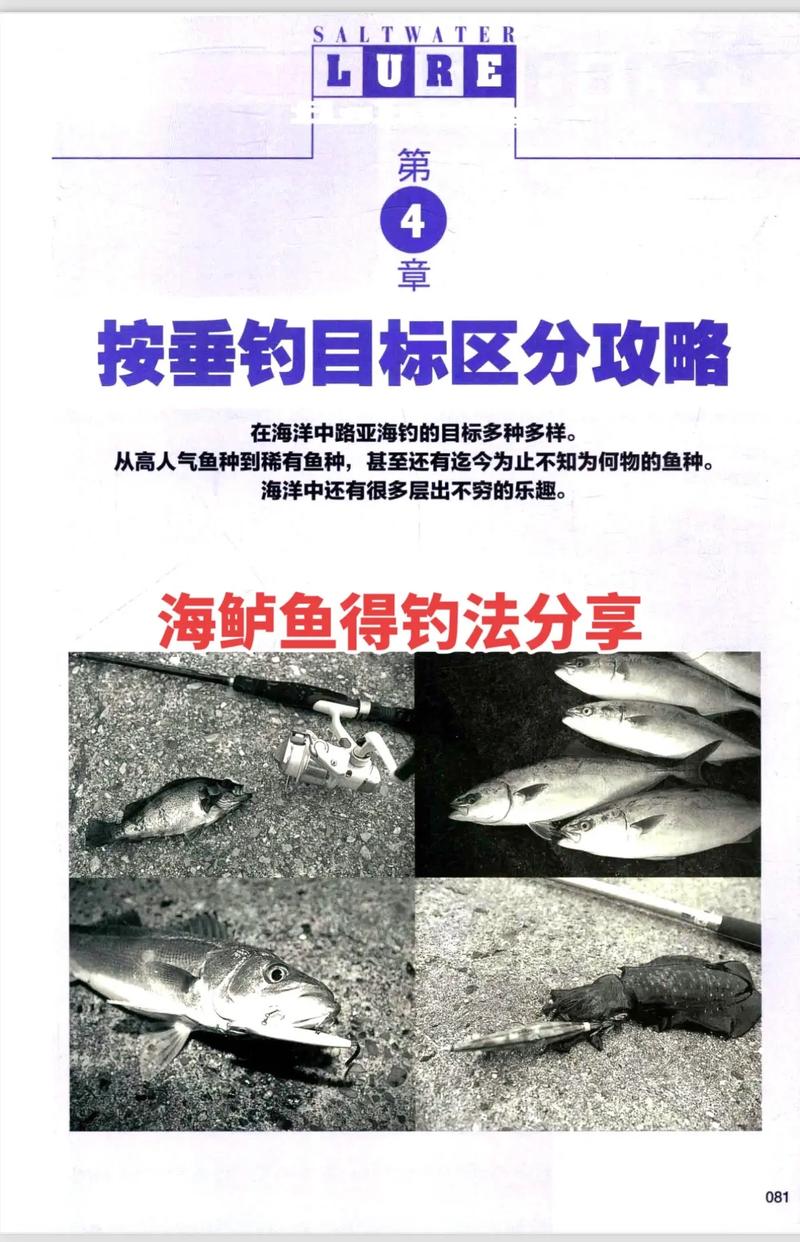 海钓鲈鱼常识和技巧（海钓鲈鱼常识和技巧视频）  第3张