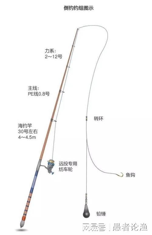 海钓鲈鱼常识和技巧（海钓鲈鱼常识和技巧视频）  第4张