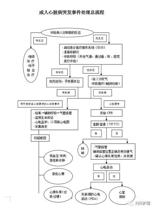 心脏病急救常识（心脏病急救注意事项）  第2张